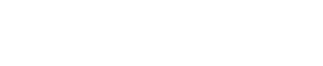 Net Fusion Technologies